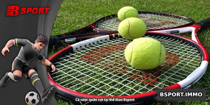 Cá cược quần vợt tại thể thao Bsport