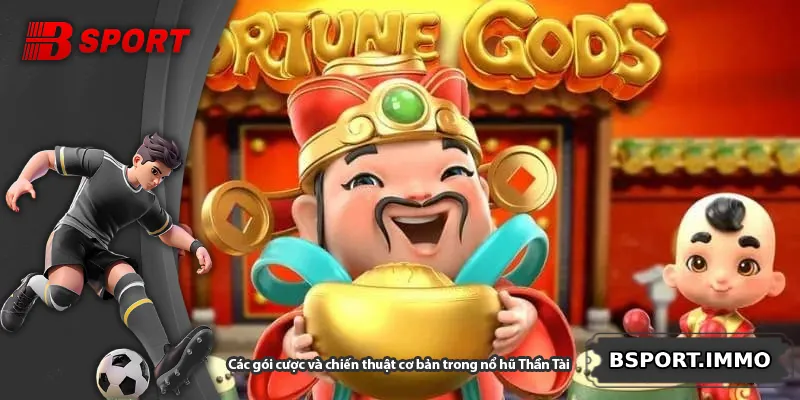 Các gói cược và chiến thuật cơ bản trong nổ hũ Thần Tài