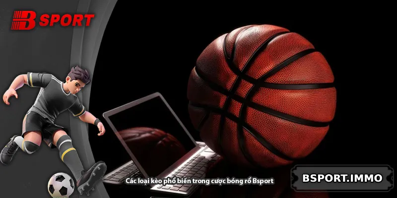 Các loại kèo phổ biến trong cược bóng rổ Bsport