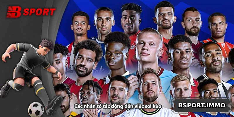 Các nhân tố tác động đến việc soi kèo