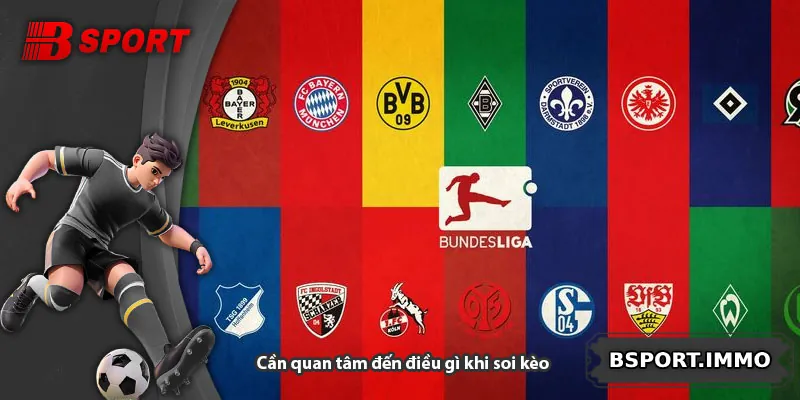 Cần quan tâm đến điều gì khi soi kèo