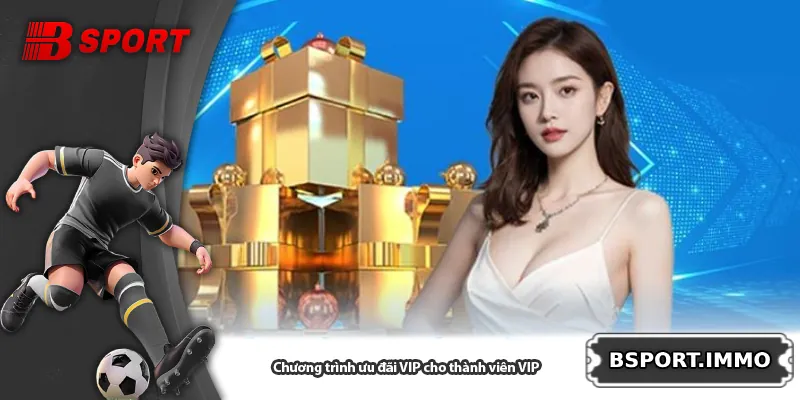 Chương trình ưu đãi VIP cho thành viên VIP