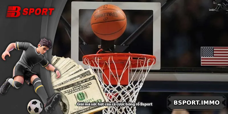 Giải mã sức hút của cá cược bóng rổ Bsport