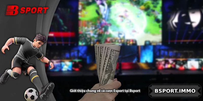 Giới thiệu chung về cá cược Esport tại Bsport