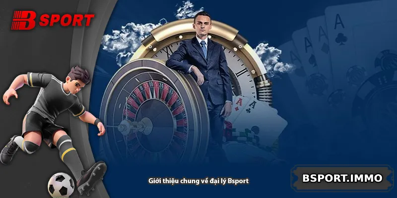 Giới thiệu chung về đại lý Bsport