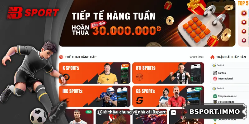 Giới thiệu chung về nhà cái Bsport