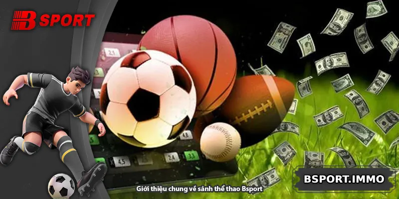 Giới thiệu chung về sảnh thể thao Bsport
