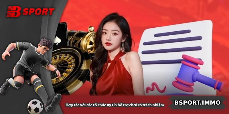 Hợp tác với các tổ chức uy tín hỗ trợ chơi có trách nhiệm