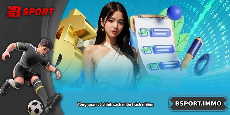 Tổng quan về chính sách miễn trách nhiệm