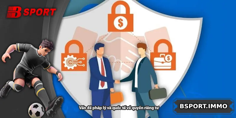 Vấn đề pháp lý và quốc tế về quyền riêng tư